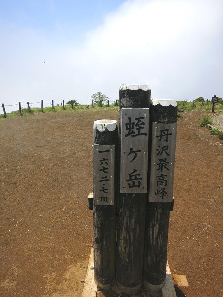 f:id:aohige0718:20190702140055j:plain 蛭ヶ岳頂上