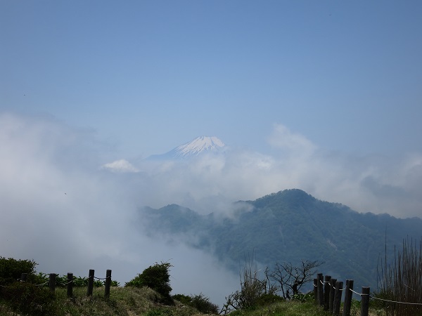 f:id:aohige0718:20190702140059j:plain 蛭ヶ岳から富士山
