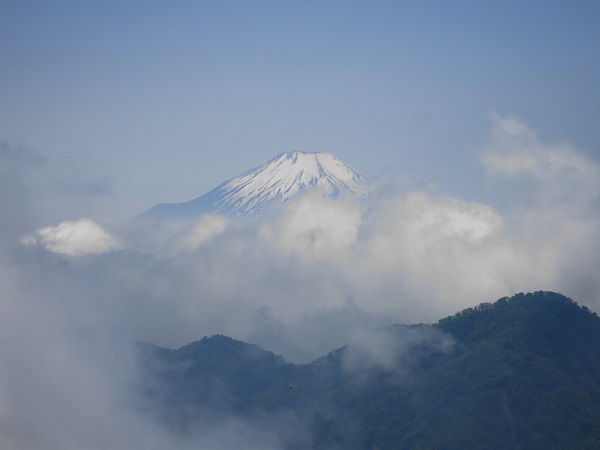 f:id:aohige0718:20190702140106j:plain 山飯と富士山