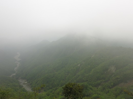 f:id:aohige0718:20190702140110j:plain 臼ヶ岳南尾根からユーシンロッジ