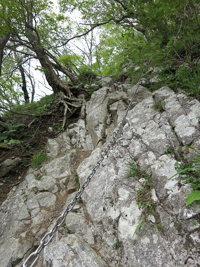 蛭ヶ岳南稜 臼ヶ岳南尾根から鍋割山日帰り登山 書策新道 塔ノ岳 大倉 後編 アオヒゲ危機一髪 樽の中身は何だろう