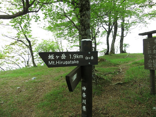 f:id:aohige0718:20190702140122j:plain 臼ヶ岳南尾根方面