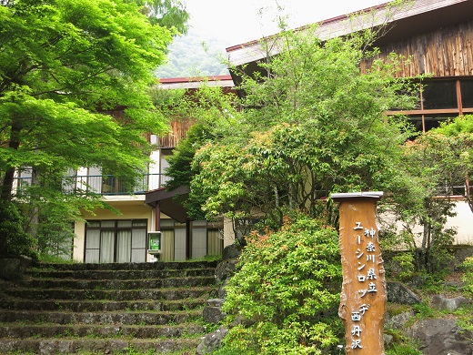 f:id:aohige0718:20190702140135j:plain 臼ヶ岳南尾ユーシンロッヂ