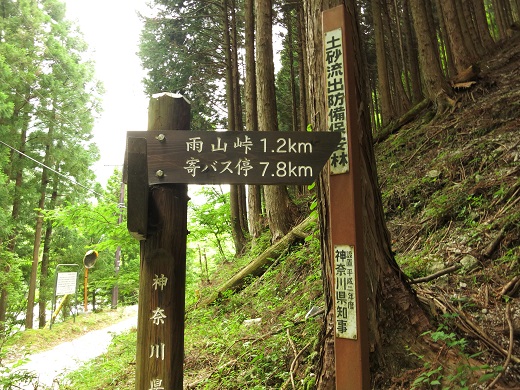 f:id:aohige0718:20190702140141j:plain 雨山峠を目指