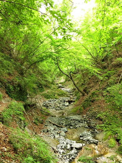 f:id:aohige0718:20190702140148j:plain 雨山沢