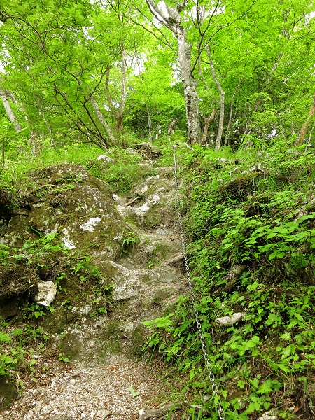 f:id:aohige0718:20190702140152j:plain 雨山峠から鍋割峠まで鎖場