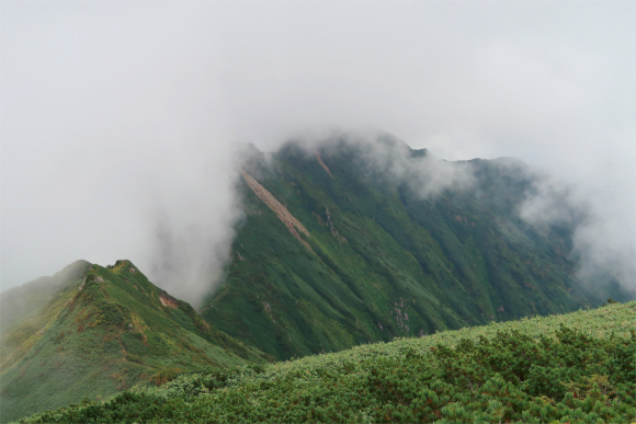 飯豊連峰は虫が多い山域
