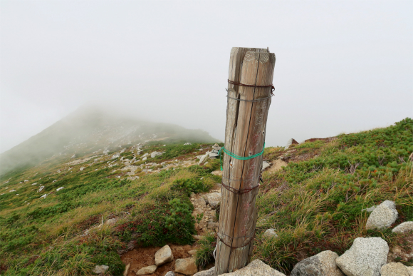 登山道の脇にダイクラ尾根入口の道標