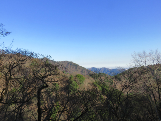 大山三峰山の境界尾根の先に仏果山、経ヶ岳から鷹取山の景色