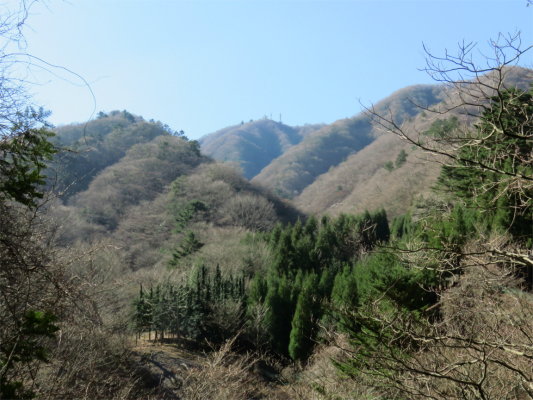 ネクタイ尾根付近から大山景色