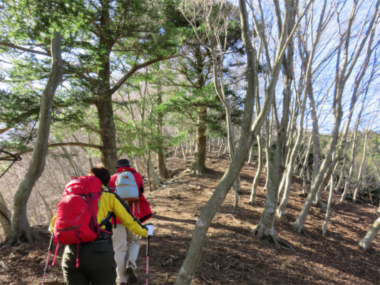 ネクタイ尾根登山道