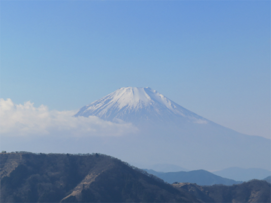 大山ネクタイ尾根からの富士山の景色