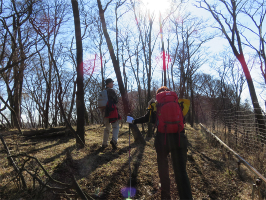 大山ネクタイ尾根・大山北尾根は登山者