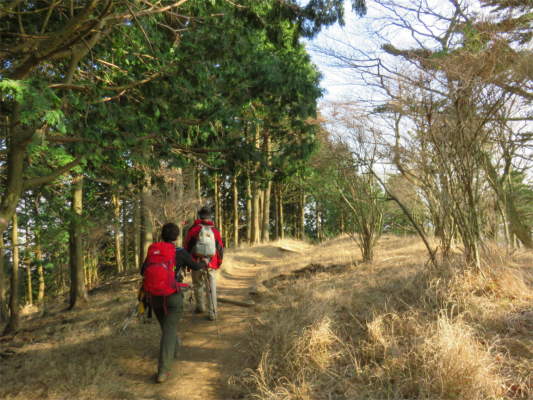 雷ノ峰尾根登山道の様子