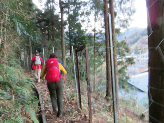 入山周辺鹿柵ルート