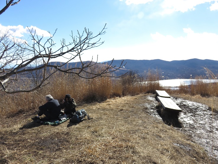 平尾山の山頂ベンチ休憩スポット