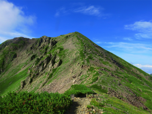 夏山