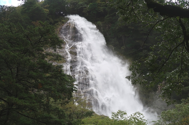 大杉谷渓谷から桃ノ木山の家途中の滝