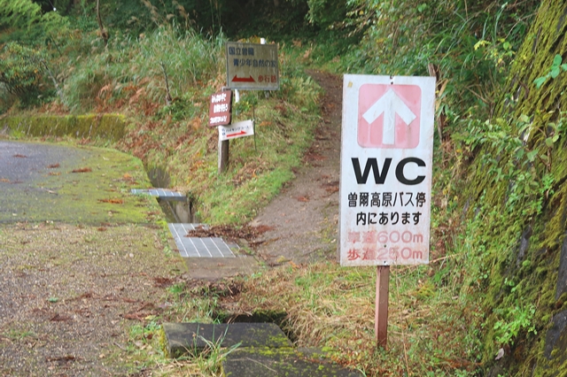 f:id:aohige0718:20191101230837j:plain お亀の湯からお亀池を目指し進む