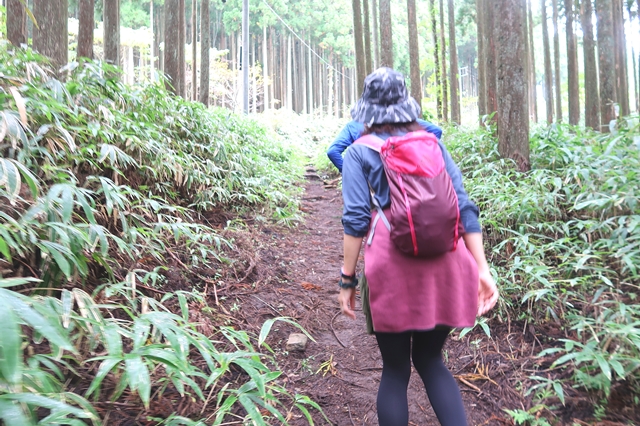 f:id:aohige0718:20191101230849j:plain 登山中の女性