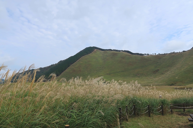 f:id:aohige0718:20191101231019j:plain ススキの旬の時期俱留尊山