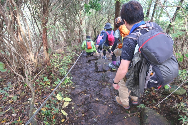 f:id:aohige0718:20191101231822j:plain 二本ボソから俱留尊山濡れた登山道