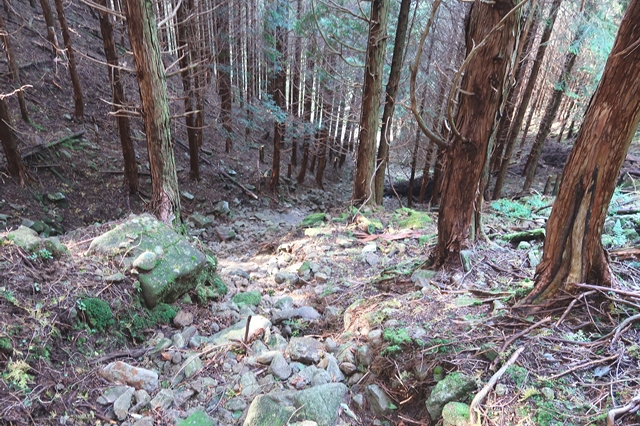 f:id:aohige0718:20191101232026j:plain 俱留尊山から滝川道で下山