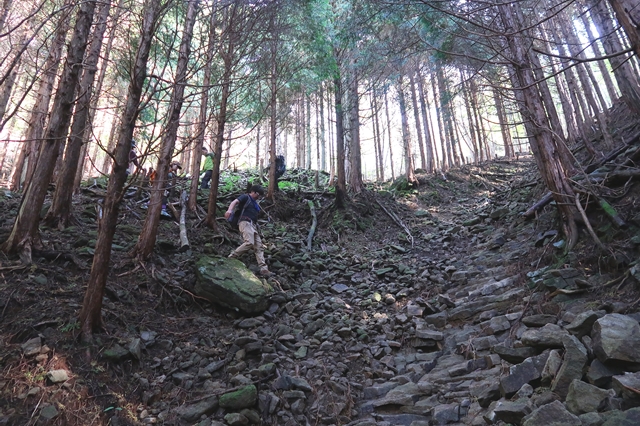f:id:aohige0718:20191101232033j:plain 俱留尊山から滝川道は道が荒れている