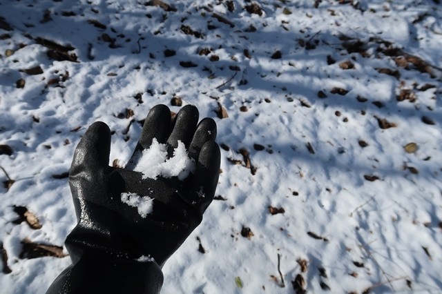 テムレスブラックで雪を持っている