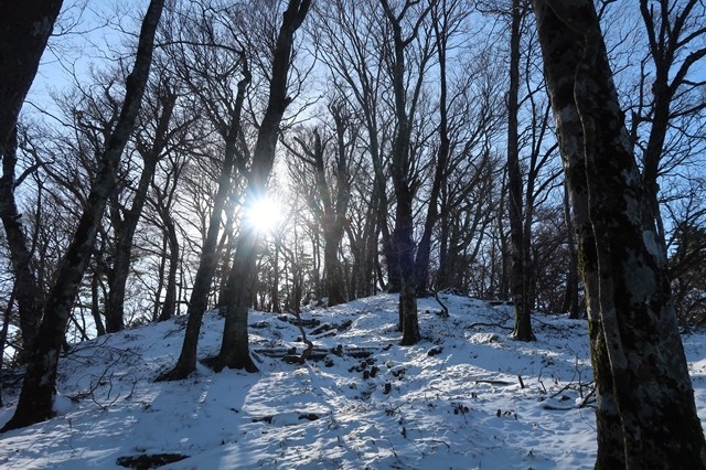 積雪期の丹沢三峰も雰囲気