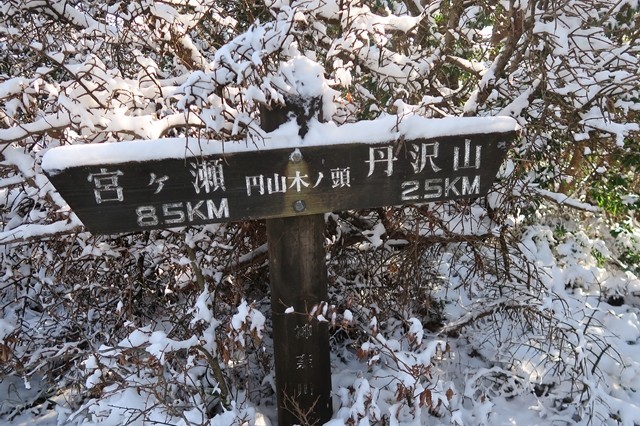 円山木ノ頭周辺も積雪が多い