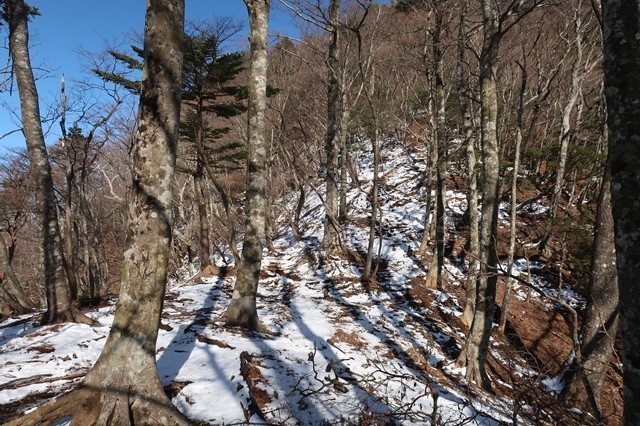 円山木ノ頭から本間ノ頭を振り返っての写真
