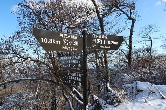 >塩水橋から堂平を経由して蛭ヶ岳