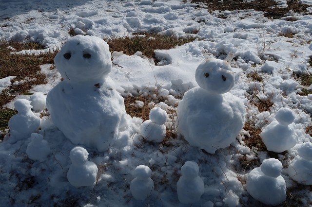 テムレスブラックを見つめる雪だるま