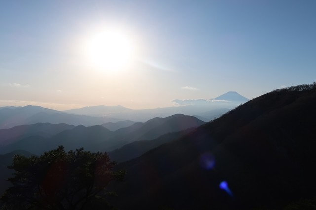 大倉尾根を使って下山