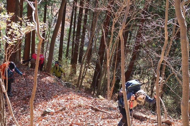 f:id:aohige0718:20191216214849j:plain 丹沢バリエーションルートの登り道