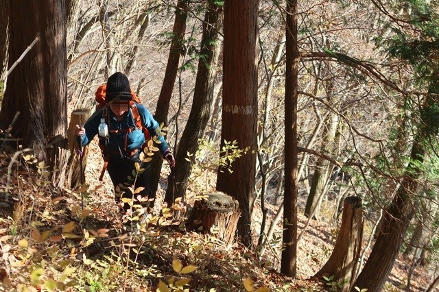 f:id:aohige0718:20191216214907j:plain 丹沢マルガヤ尾根のバリエーションルート