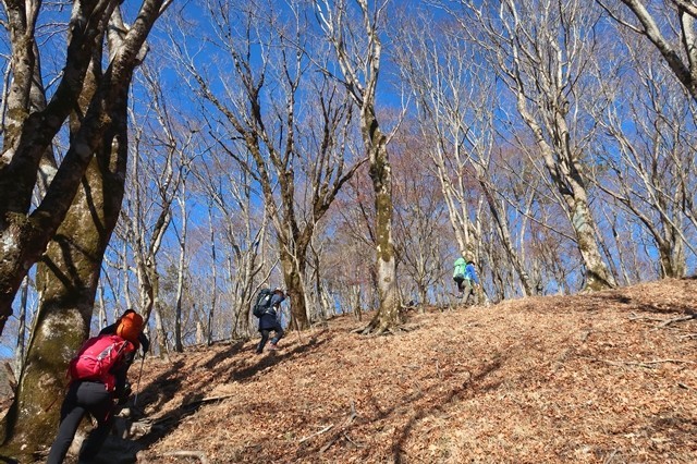 f:id:aohige0718:20191216215004j:plain マルガヤ尾根の目印P928