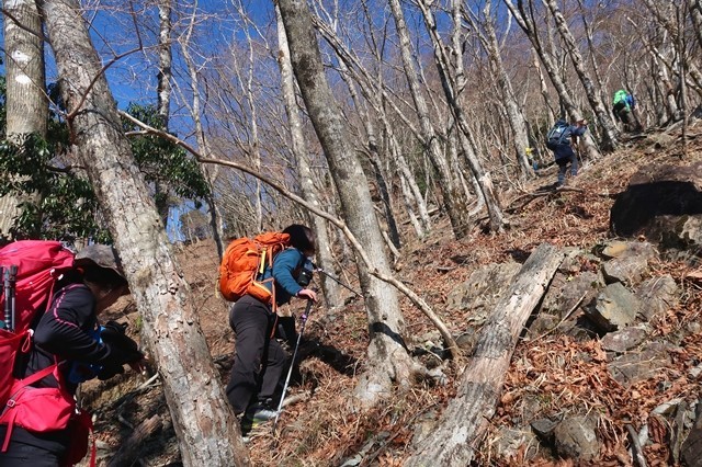 f:id:aohige0718:20191216215021j:plain マルガヤ尾根急登が鍋割山稜まで続きます