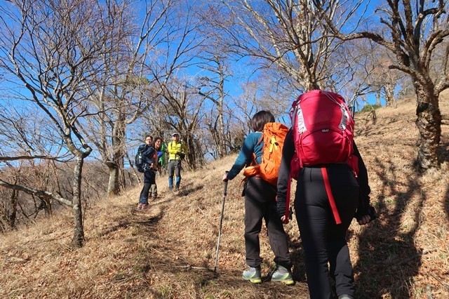 f:id:aohige0718:20191216215043j:plain 鍋割山稜まで鮮明な登山道