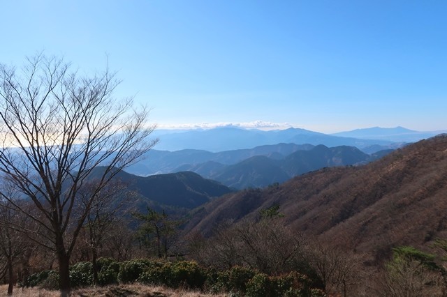 f:id:aohige0718:20191216215048j:plain 愛鷹山金時山