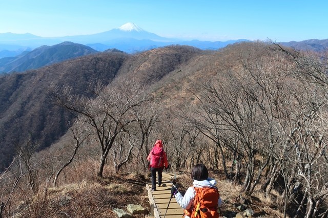 f:id:aohige0718:20191216215229j:plain 鍋割山稜歩き