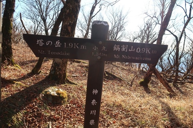 f:id:aohige0718:20191216215450j:plain 小丸尾根(訓練尾根)入口