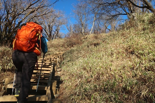 f:id:aohige0718:20191216215513j:plain 塔ノ岳への登り