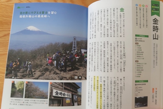 ヤマレコの人気ルート金時山