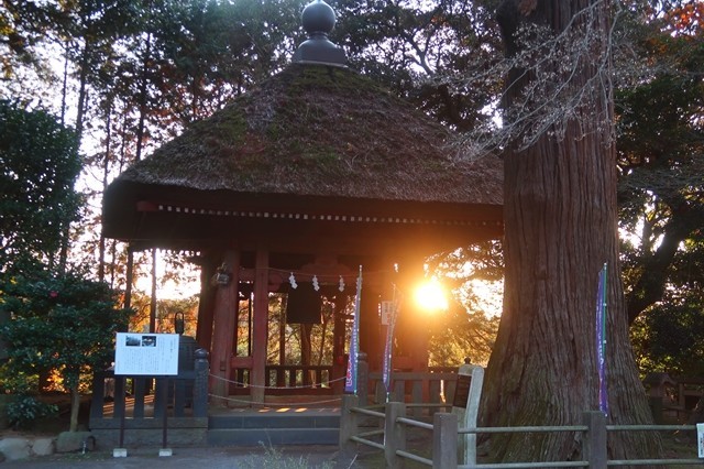 f:id:aohige0718:20200105081834j:plain 日向薬師の境内日の出