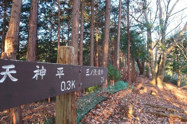 f:id:aohige0718:20200105082235j:plain 梅ノ木尾根道標