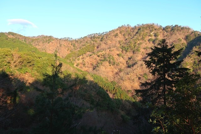 f:id:aohige0718:20200105084851j:plain 梅ノ木尾根から眺める大山三峰