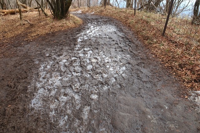 大山から登山道の様子