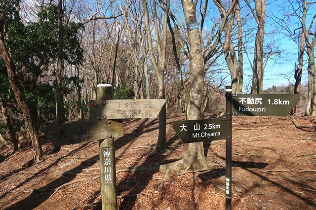 大山三峰山・不動尻分岐